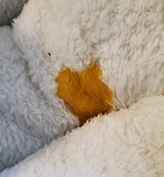 Raffis pee in his bed